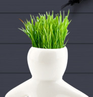 DIY Plant Man With Growing Hair