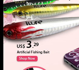 Artificial Fishing Bait