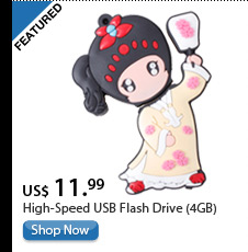 High-Speed USB Flash Drive (4GB)
