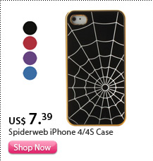 Spiderweb iPhone 4/4S Case