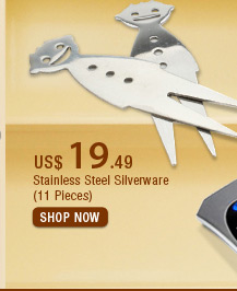 Stainless Steel Silverware (11 Pieces)