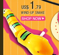 Wind-Up Snake
