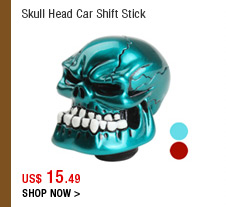 Skull Head Car Shift Stick