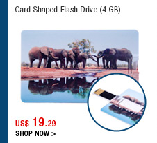 Card Shaped Flash Drive (4 GB)