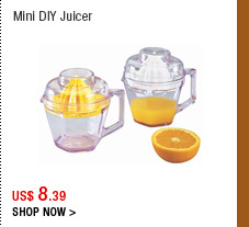 Mini DIY Juicer