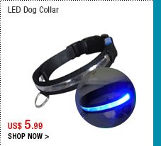 LED Dog Collar
