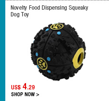 Novelty Food Dispensing Squeaky Dog Toy