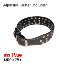 Adjustable Leather Dog Collar