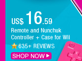 Remote and Nunchuk Controller + Case for Wii