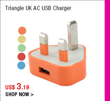 Triangle UK AC USB Charger