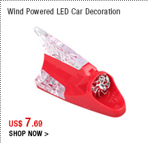 Wind Powered LED Car Decoration