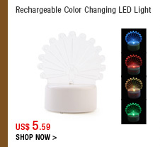 Rechargeable Color Changing LED Light