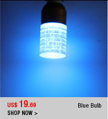 Blue Bulb