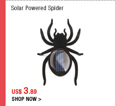 Solar Powered Spider