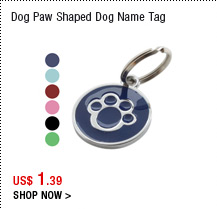 Dog Paw Shaped Dog Name Tag