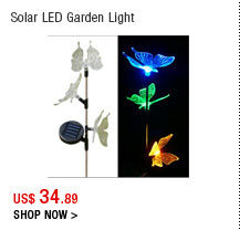 Solar LED Garden Light
