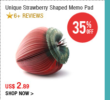 Unique Strawberry Shaped Memo Pad
