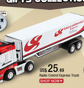 Radio Control Express Truck