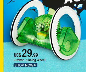 i-Robot Running Wheel