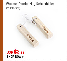 Wooden Deodorizing Dehumidifier