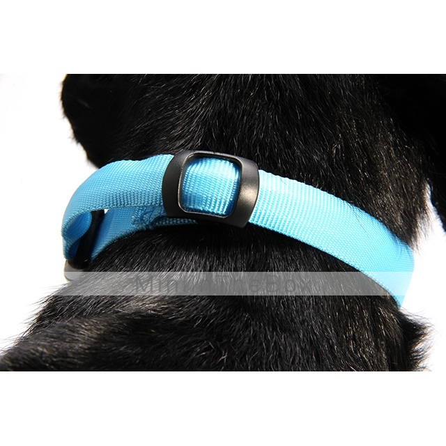 Cat / Dog Collar LED Lights / Adjustable/Retractable Solid Red / White