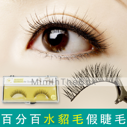 1 Pairs Animal False Eyelashes 4987957 2017 2.99