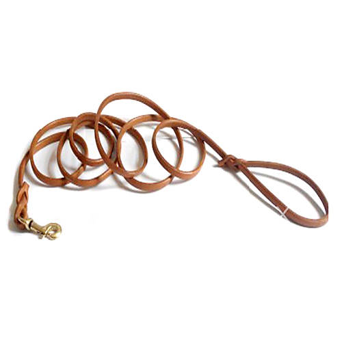 Genuine Leather ExtraLong Pet Dog Leash (300cm/118inch, Brown) 305191