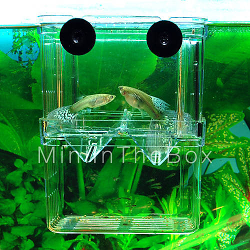 Aquarium Breeding Box (10cm x 7cm x 13cm) 2015 9.99
